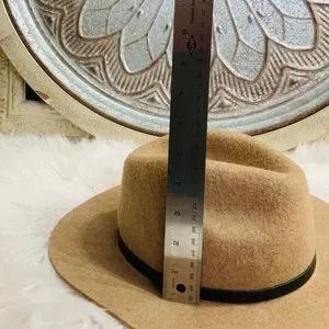 Banana Republic | Accessories | Banana Republic Tan Felt  display picture 2
